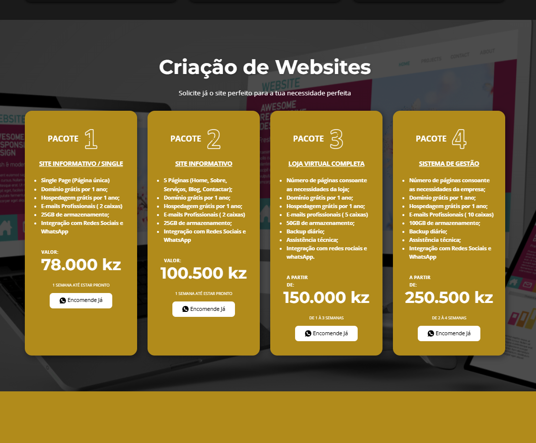 Criação de Site Institucional e Plataforma de Serviços – NegOOnline